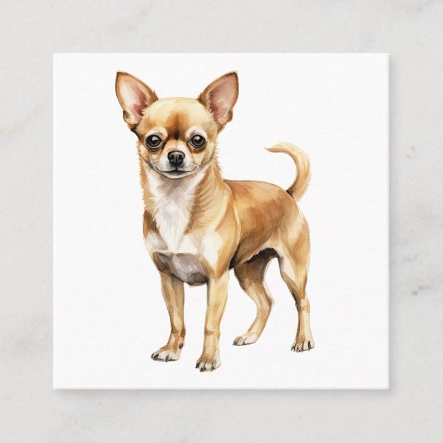 Cartão De Visita Quadrado Chihuahua watercolor, clipart Chihuahua cão (Frente)