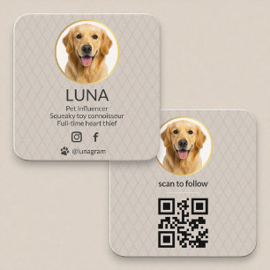 Cartão De Visita Quadrado Código QR Dourado de Influenciador de Pet Moderno