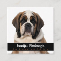 Cuidados de Pet de Serviço de Alinhamento de Cacho