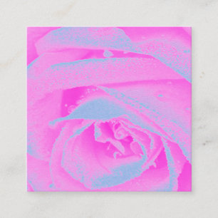 Cartão De Visita Quadrado Detalhe de Rosa Rosa Perfeito e Azul Claro