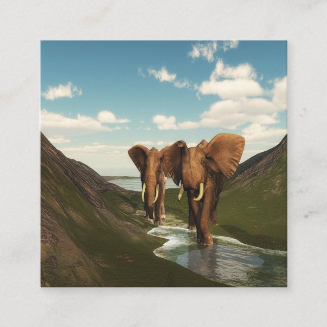 Cartão De Visita Quadrado Elefante (Frente)