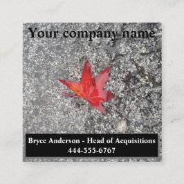 Cartão De Visita Quadrado Folha vermelha da chuva na estrada texturizada de 