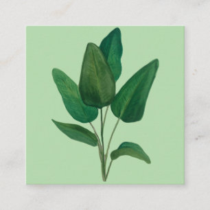 Cartão De Visita Quadrado Folhas tropicais