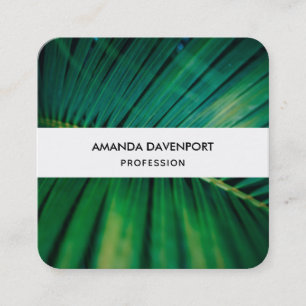 Cartão De Visita Quadrado Foto de Natureza Tropical de Palm Verde