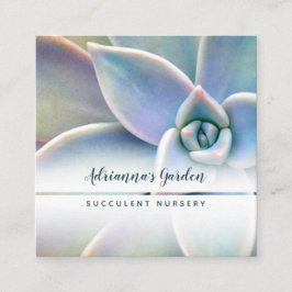 Cartão De Visita Quadrado Foto mínima moderna do berçário da planta do