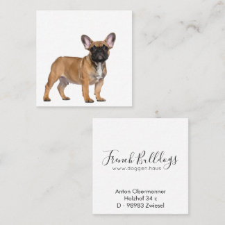 Cartão De Visita Quadrado French Bulldogs Square Business Card