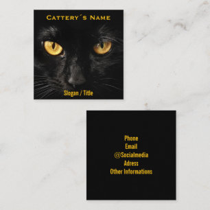 Cartão De Visita Quadrado Gateria de Olhos de Gato Preto Minimalista Luxuosa