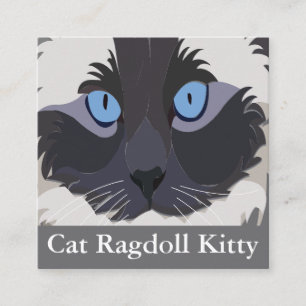 Cartão De Visita Quadrado Gato Ragdoll Olhos Azuis