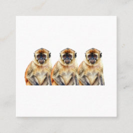 Cartão De Visita Quadrado Gibbon