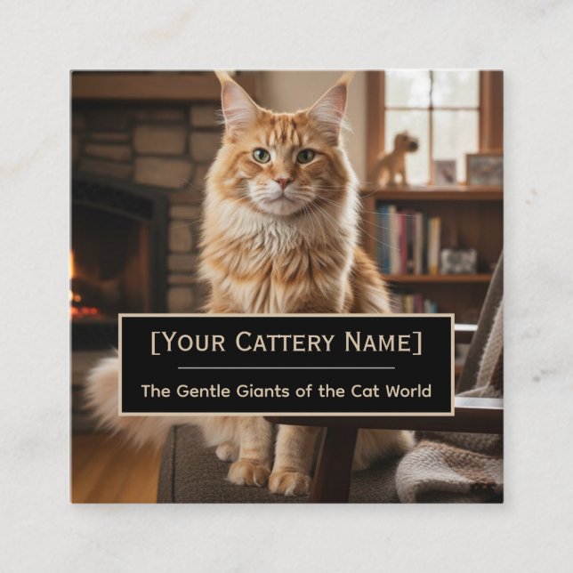 Cartão De Visita Quadrado Luxury Maine Coon Cattery Photo Business Card (Frente)