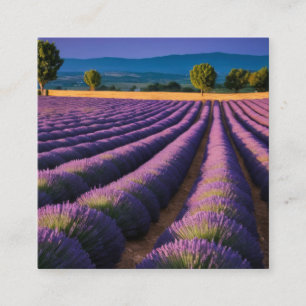 Cartão De Visita Quadrado Natureza lavanda no exterior Paisagem pacífica