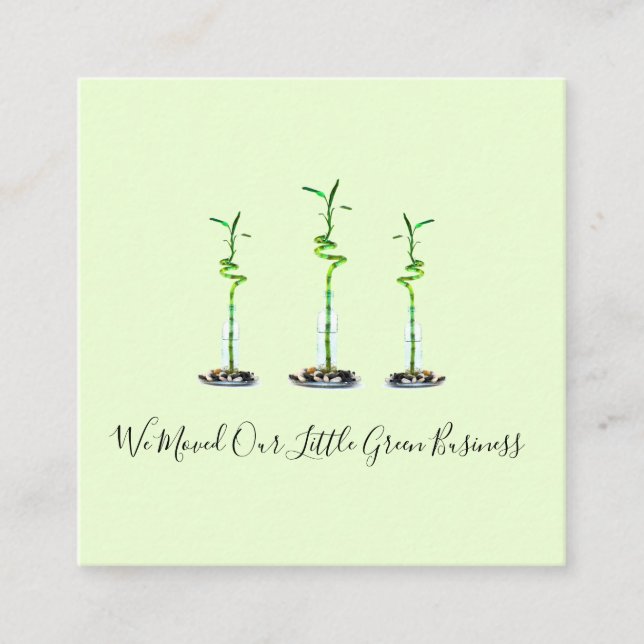 Cartão De Visita Quadrado Nós movemos o bambu afortunado do endereço (Frente)