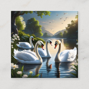 Cartão De Visita Quadrado Os graciosos cisnes brancos são uma visão familiar