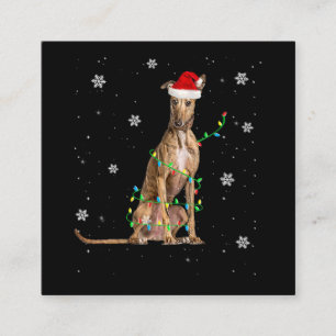 Cartão De Visita Quadrado Papais noeis Grátis De Natal De Whippet Xmas