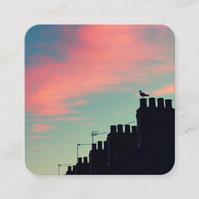 Cartão De Visita Quadrado Pássaro Anorior (Frente)