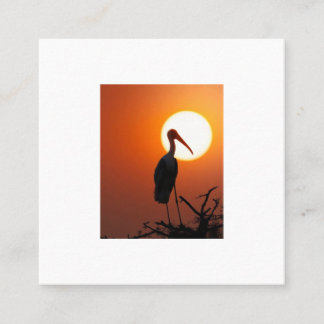 Cartão De Visita Quadrado Pássaro Sunset na Ramificação - Nature Wall Art