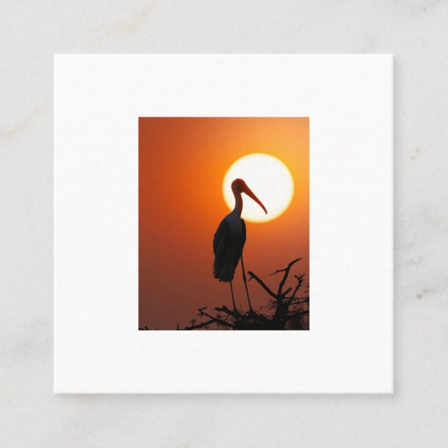 Cartão De Visita Quadrado Pássaro Sunset na Ramificação - Nature Wall Art (Frente)