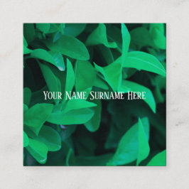 Cartão De Visita Quadrado Planta Verde Pálida deixa a natureza se sentir Car