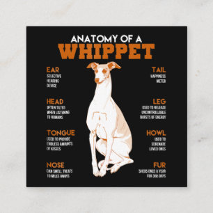 Cartão De Visita Quadrado Presente para cães anatomia de um cão de chicot