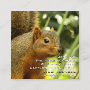 Cartão De Visita Quadrado Retrato de uma fotografia de animal da natureza de