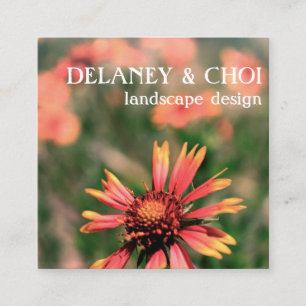 Cartão De Visita Quadrado Rosa Daisy Photo Landscaper Garden Wildflower