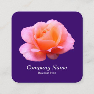 Cartão De Visita Quadrado Rosa Rosa Rosa Rosa Rosa - Roxo Profundo