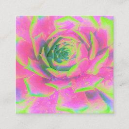 Cartão De Visita Quadrado Sedum Rosette verde limão e Suculente Rosa