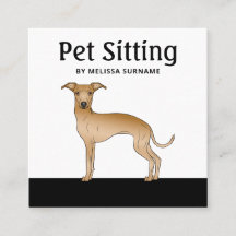 Serviços de Pet Sitter para Cães Galgo Italiano Co