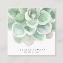 Suculente Elegante Verde do Sábio Botânico Moderno