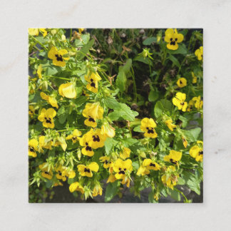 Cartão De Visita Quadrado Yellow Wildflower Garden Nature Photography Square