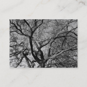 Cartão De Visita Ramificações da Magnolia na Primavera precoce