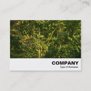 Cartão De Visita Ramificações Japonesas 05