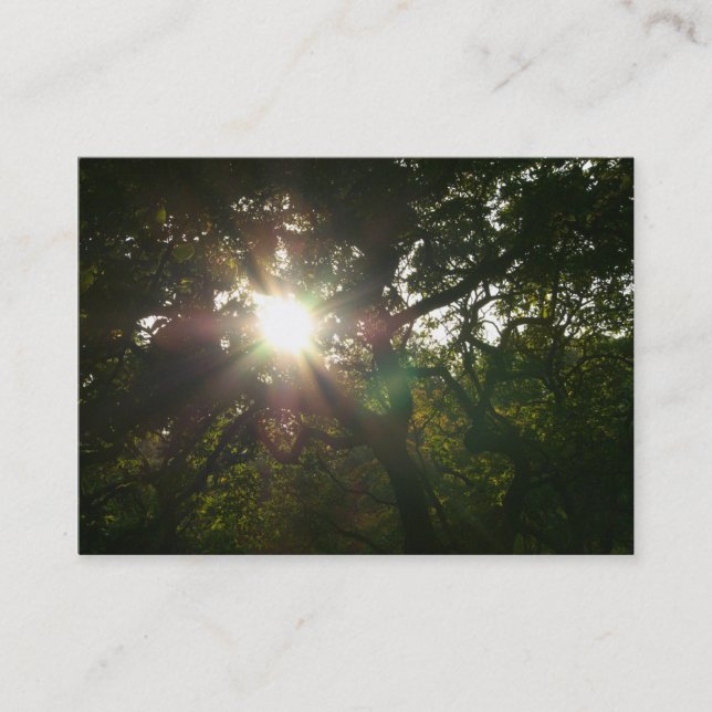 Cartão De Visita Ramificações Japonesas 07 (Frente)