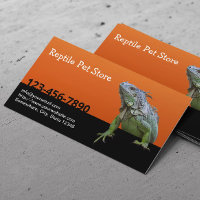 Réptil Pet Store Iguana Lizard