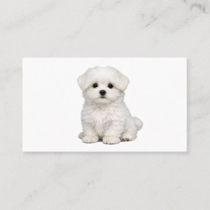 Cartão De Visita Retrato de Cachorrinho Maltês Branco Fofinho Amant
