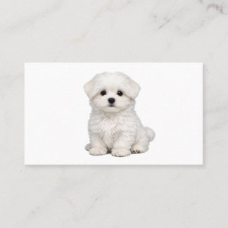 Cartão De Visita Retrato de Cachorrinho Maltês Branco Fofinho Amant