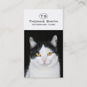 Cartão De Visita Retrato de Gato Preto e Branco