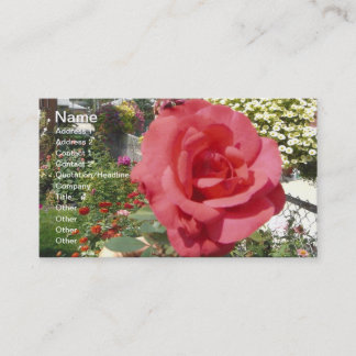 Cartão De Visita Rosa rosa rosa no jardim da vovó