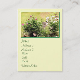 Cartão De Visita Rosas de jardim Perfil grande