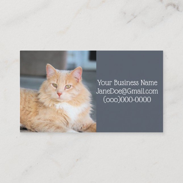 Cartão De Visita Ruffles (Verso)