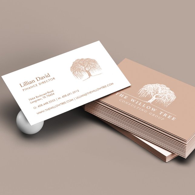 Cartão De Visita Rustic Modern Cream Blush & White Willow Logo (Criador carregado)