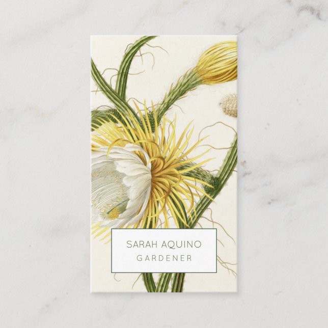 Cartão De Visita Rustic Moonlight Cactus (Frente)