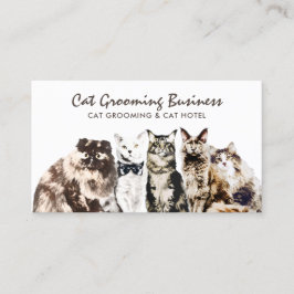 Cartão De Visita Salão de Embelezamento de Animais Spa Gatos