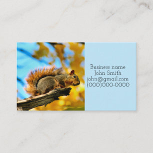 Cartão De Visita Salto