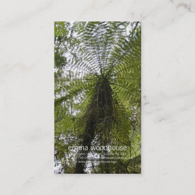 Cartão De Visita Samambaia de árvore (Frente)