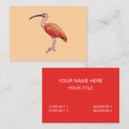Cartão De Visita Scarlet Ibis Bird