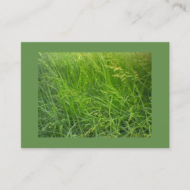 Cartão De Visita Seeding Festue Landscaping (Frente)