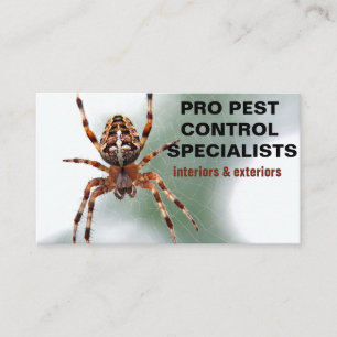 Cartão De Visita Serviço de Controle de Pragas com Foto de Aranha