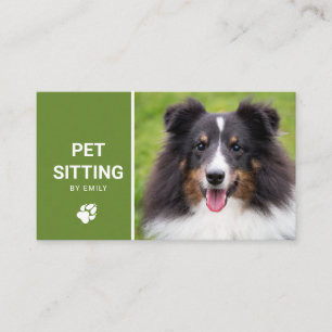 Cartão De Visita Serviço de Pet Sitter com Foto de Cachorro Feliz S