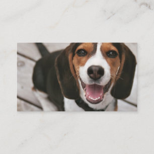 Cartão De Visita Sessão de beagle_puppy